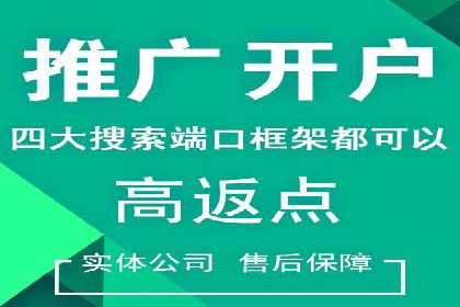 某电商平台的SEM推广策略全解析